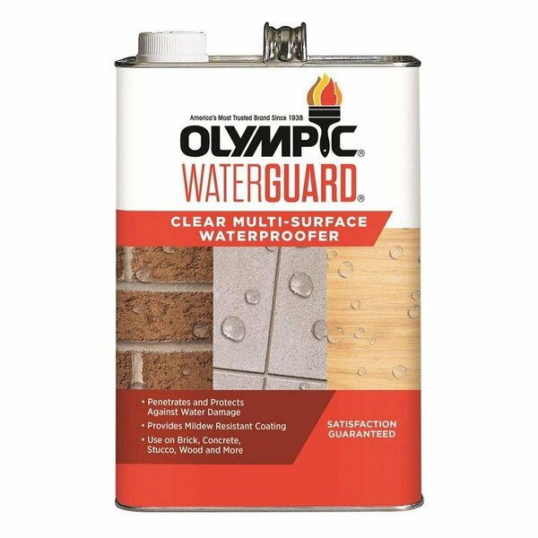 Olympic 1 gal Waterguard Clear Multi Surf Waterproofing Sealant OL572610